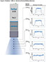 PrimeCure® 385 Nanometer (nm) Output Frequency Light Emitting Diode (LED) Flood-Curing System - 2
